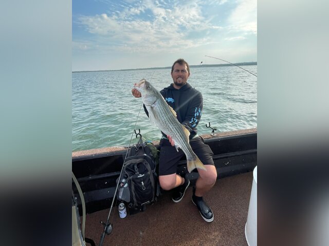 Listing image 901768