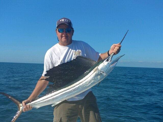 Listing image 883179