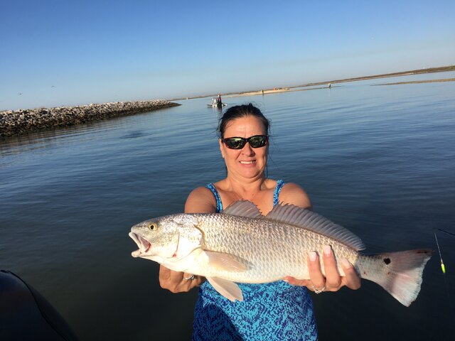 Listing image 345833