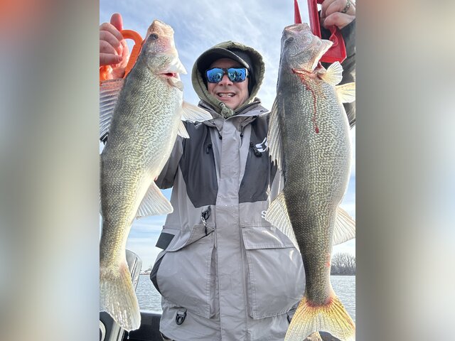 Listing image 1248954