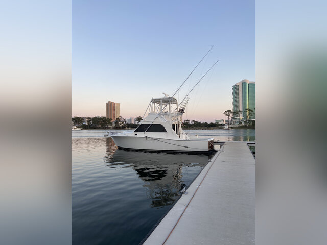 Listing image 1049256