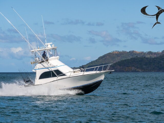 Listing image 795712