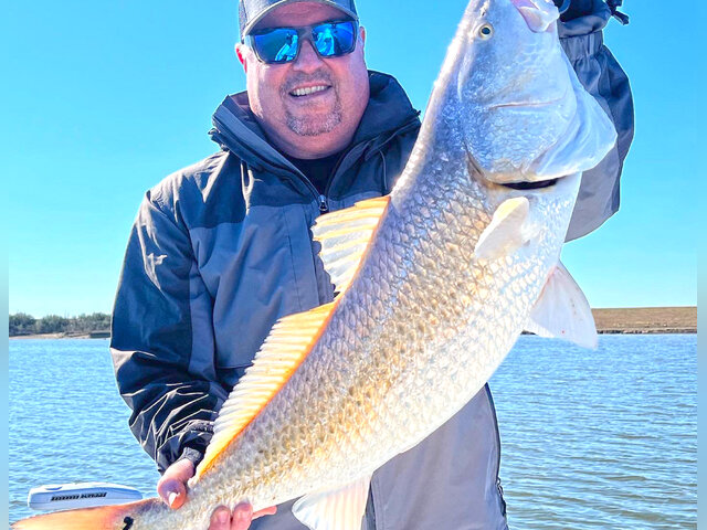 Listing image 769056