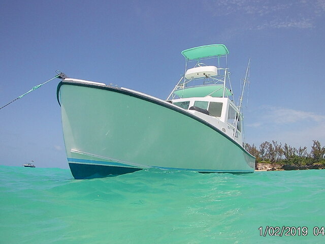 Listing image 629140