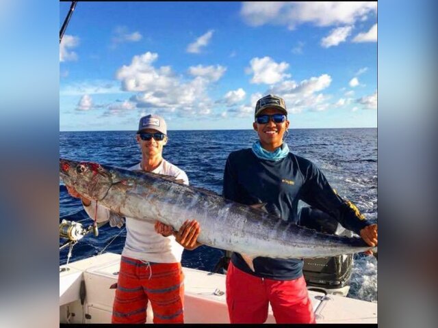 Listing image 356807