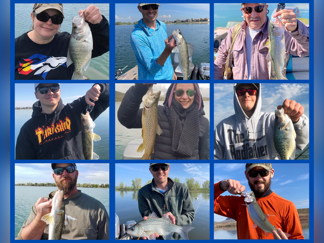 Listing image 671435