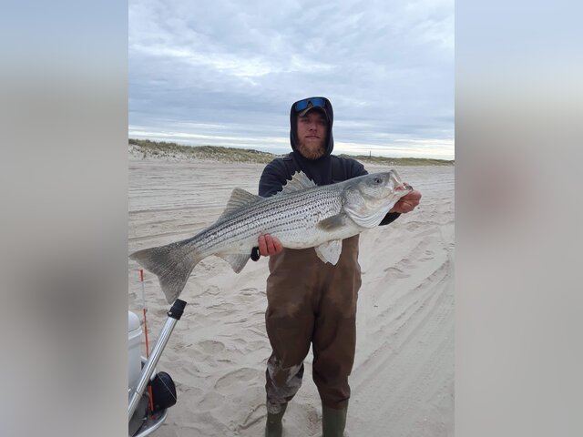 Listing image 376128