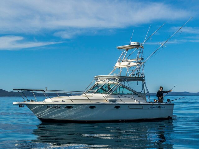 Listing image 355995