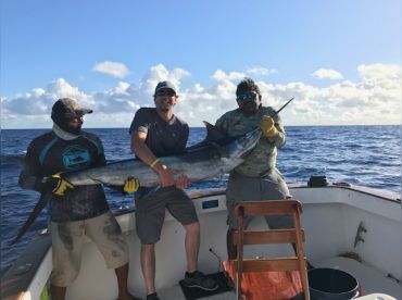 Aquadventures – Why Knot? thumbnail