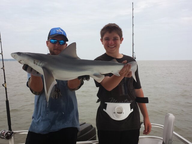 Listing image 360588