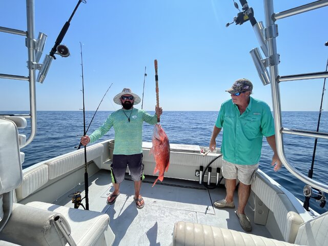 Listing image 819863