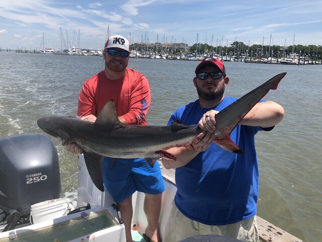 Listing image 361942