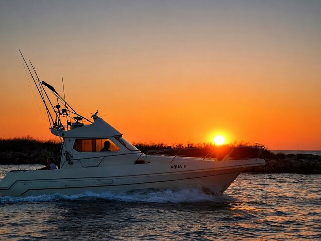 Listing image 1377803