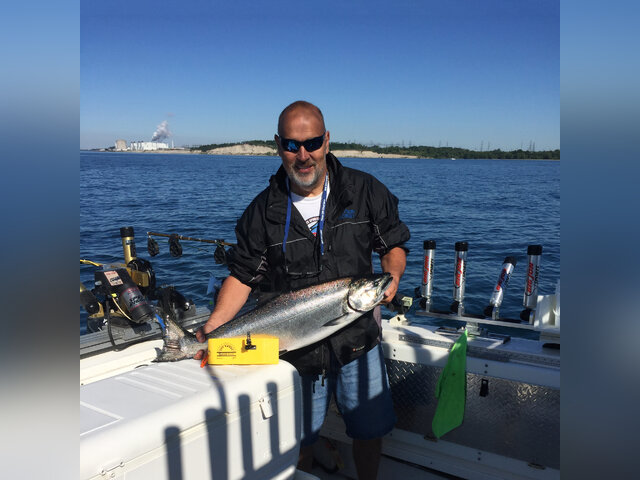 Listing image 371974