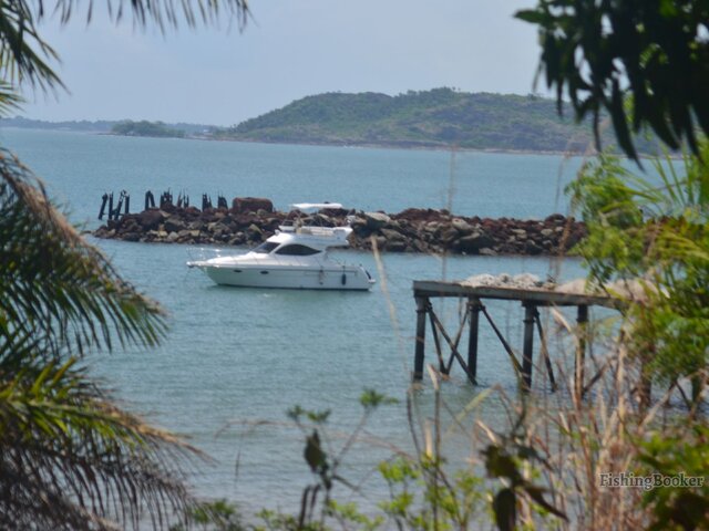 Listing image 372325