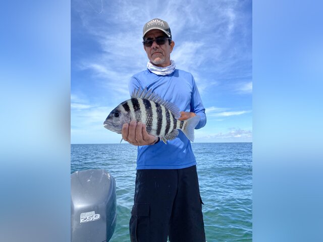 Listing image 854047