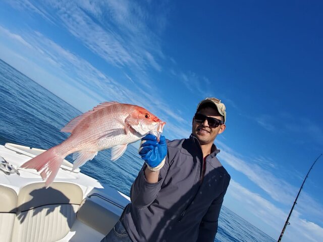 Listing image 481758