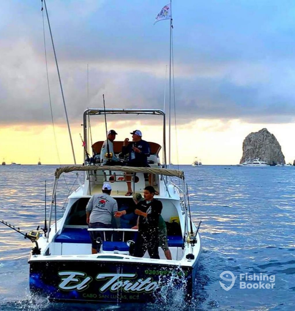 Boat Image