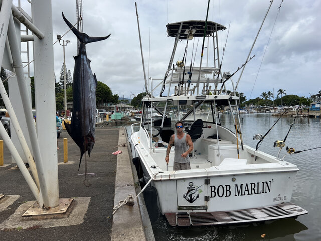 Listing image 900451