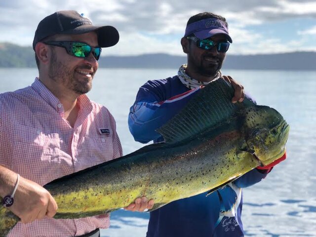 Listing image 414284