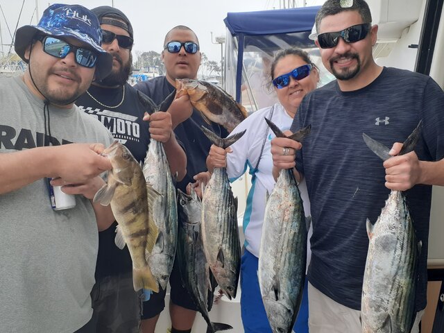 Listing image 712091