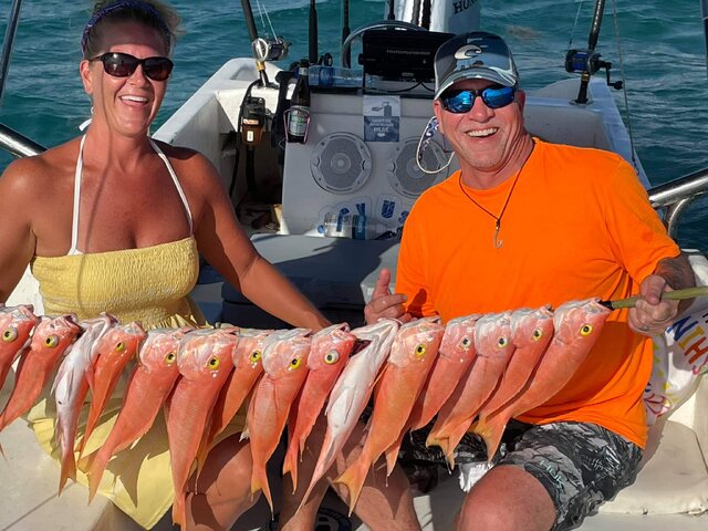 Listing image 546233