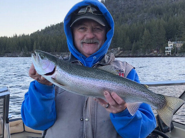 Listing image 493319