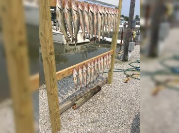 Stackin Fish Charters LLC thumbnail