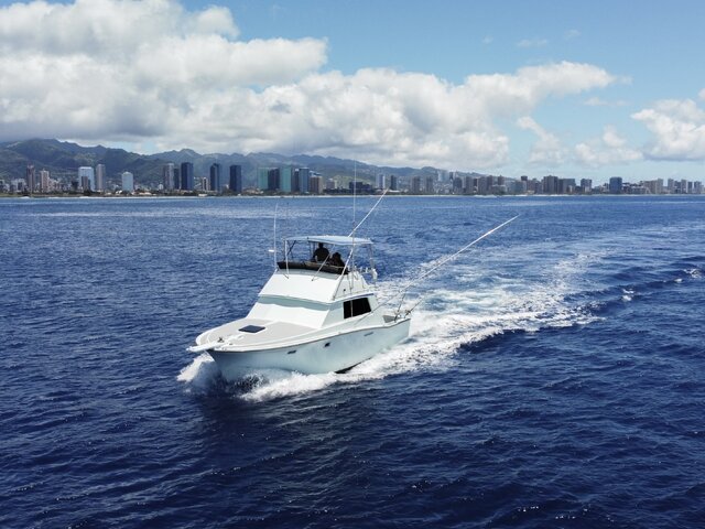 Listing image 1297109