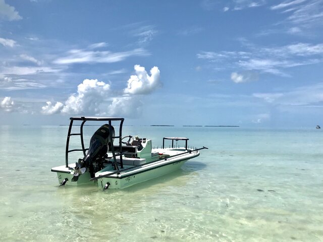 Listing image 372116