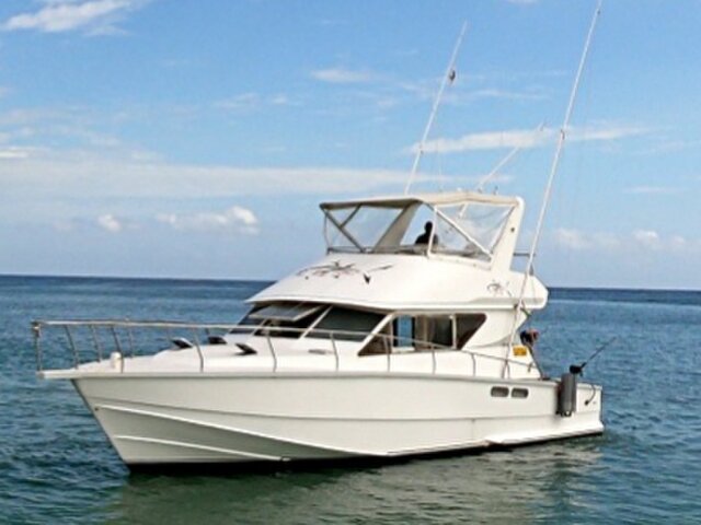 Listing image 373369