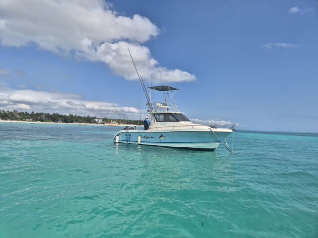 Listing image 1254921