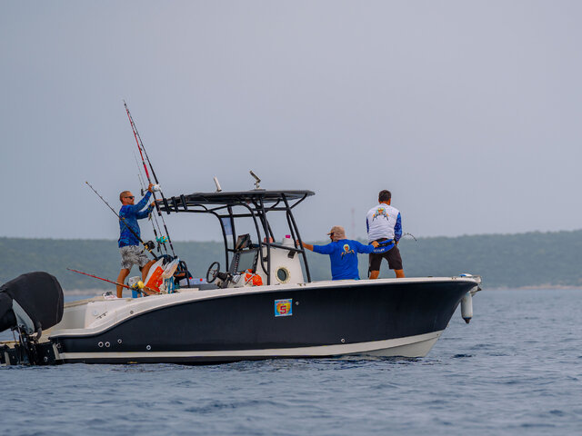 Listing image 1045568