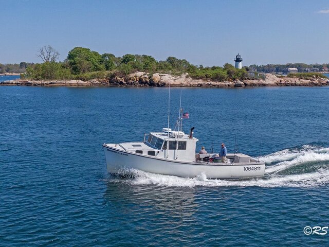 Listing image 586241