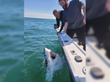 Bottom Bouncer Fishing thumbnail