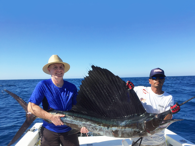 Listing image 385641