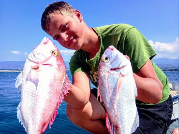 Delware Ug (Haftungsbeschränkt)