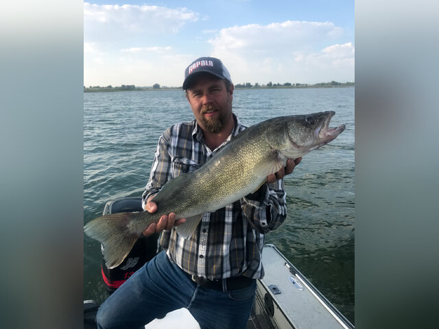 Listing image 381103