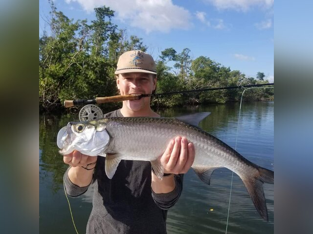 Listing image 382041