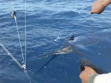 Watamu Local Fishing thumbnail