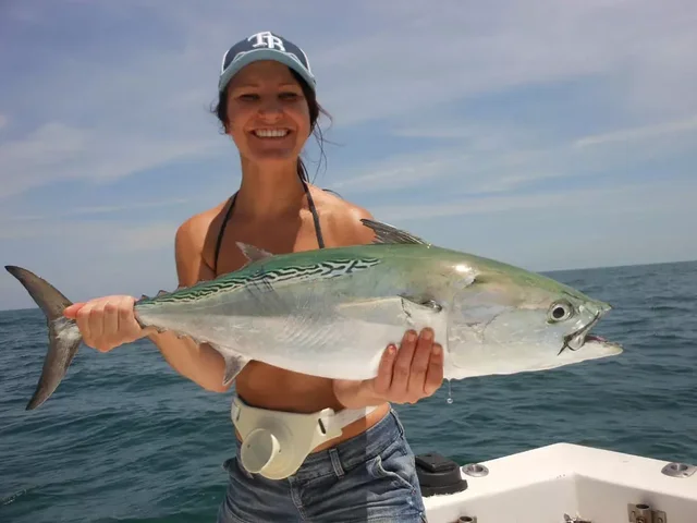 Listing image 1305511