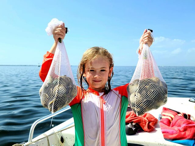 Listing image 762403