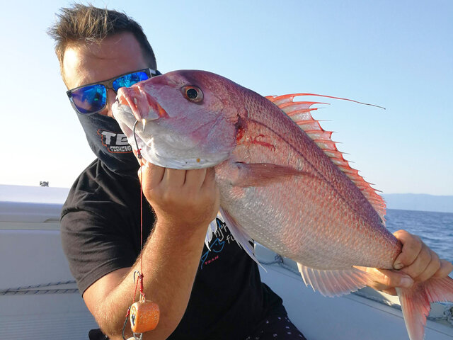 Listing image 389054