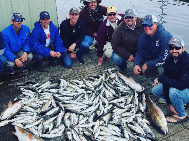 Listing image 503947