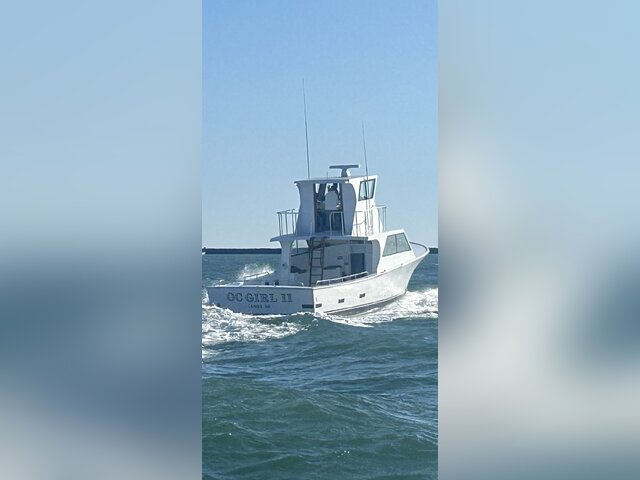 Listing image 1377309