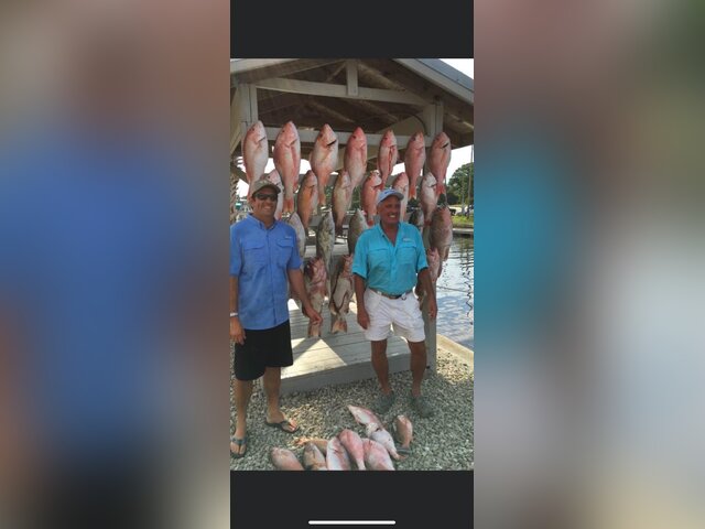 Listing image 872319