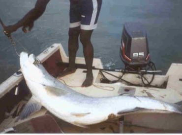 Janneh Boating And Fishing Co