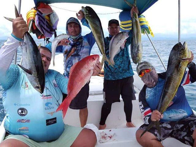 Listing image 495254