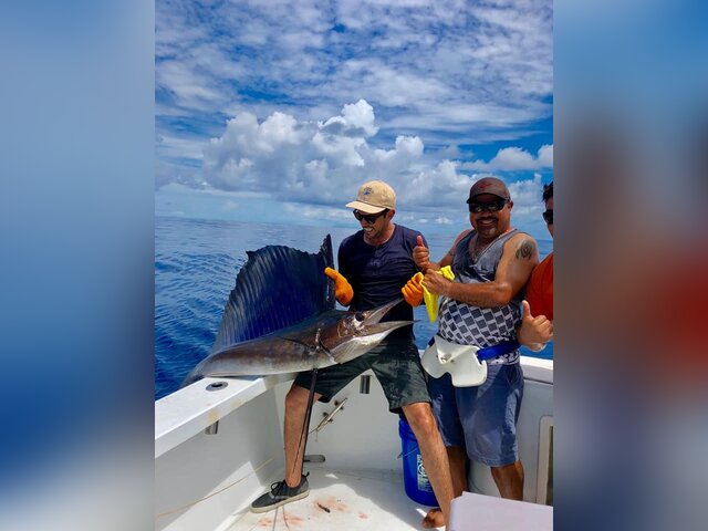 Listing image 391448