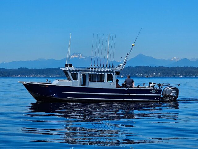 Listing image 1231402